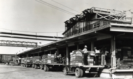 SAGSE001BeansLima779