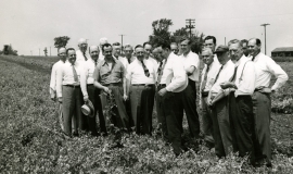 SAGSE001Conferences1736