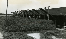 SAGSE001FarmOperations2491