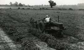 SAGSE001FarmOperationsTwo2489