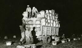 SAGSE001FarmOperationsTwo2490