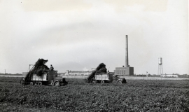 SAGSE001FarmOperationsTwo2492