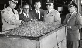 SAGSE001MarketingReportsandMilitaryBuying3574