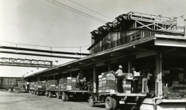 SAGSE001SeabrookFarms6727