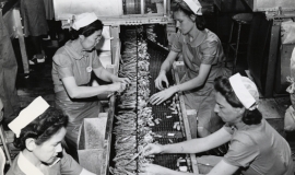 SAGSE001SeabrookFarms6733