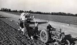 SAGSE001SeabrookFarms6740