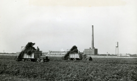 SAGSE001SeabrookFarms6742