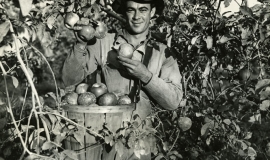 SAGSE001SeabrookFarms6744