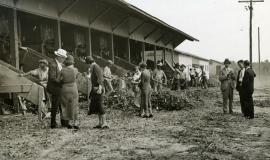 SAGSE001SeabrookFarms6745