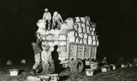 SAGSE001SeabrookFarms6747