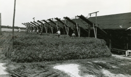 SAGSE001SeabrookFarms6751