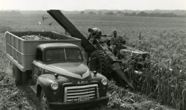 SAGSE001SeabrookFarms6753