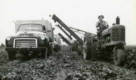 SAGSE001SeabrookFarms6759