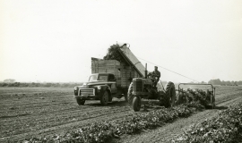 SAGSE001SeabrookFarms6760