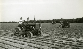 SAGSE001SeabrookFarms6761