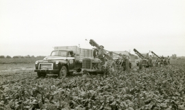 SAGSE001SeabrookFarms6764