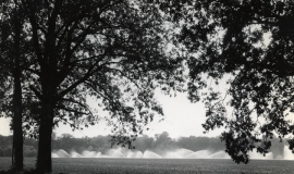 SAGSE001SeabrookFarms6767