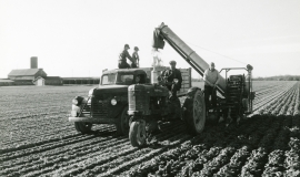 SAGSE001SeabrookFarms6769