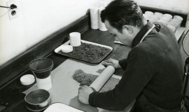 SAGSE001SeabrookFarms6775