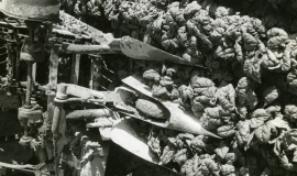 SAGSE001SeabrookFarms6776