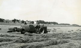 SAGSE001SeabrookFarms6782