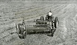 SAGSE001SeabrookFarms6783