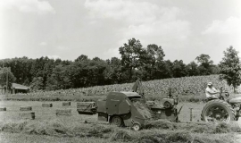 SAGSE001SeabrookFarms6786