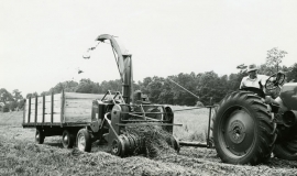 SAGSE001SeabrookFarms6787